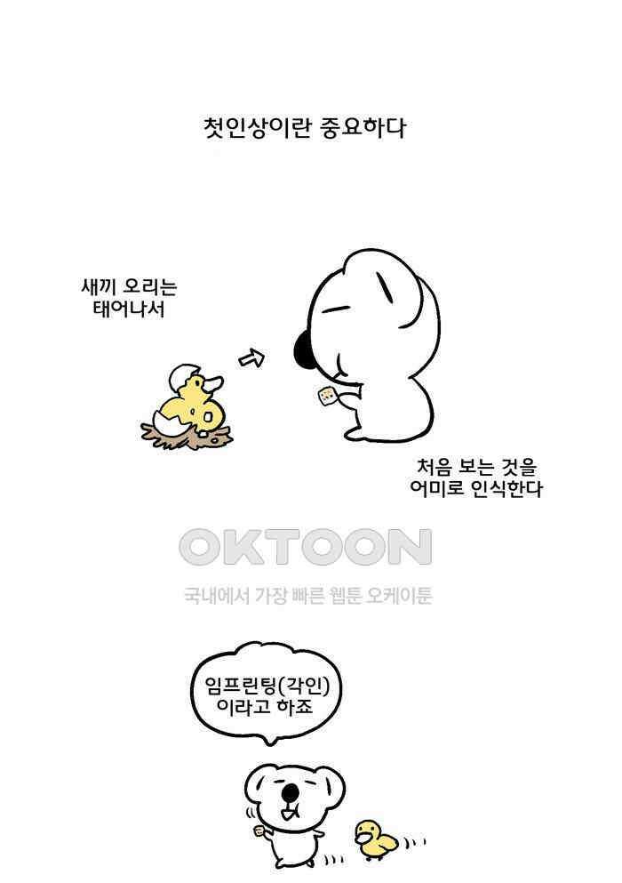 코알랄라 97화 카스테라 1