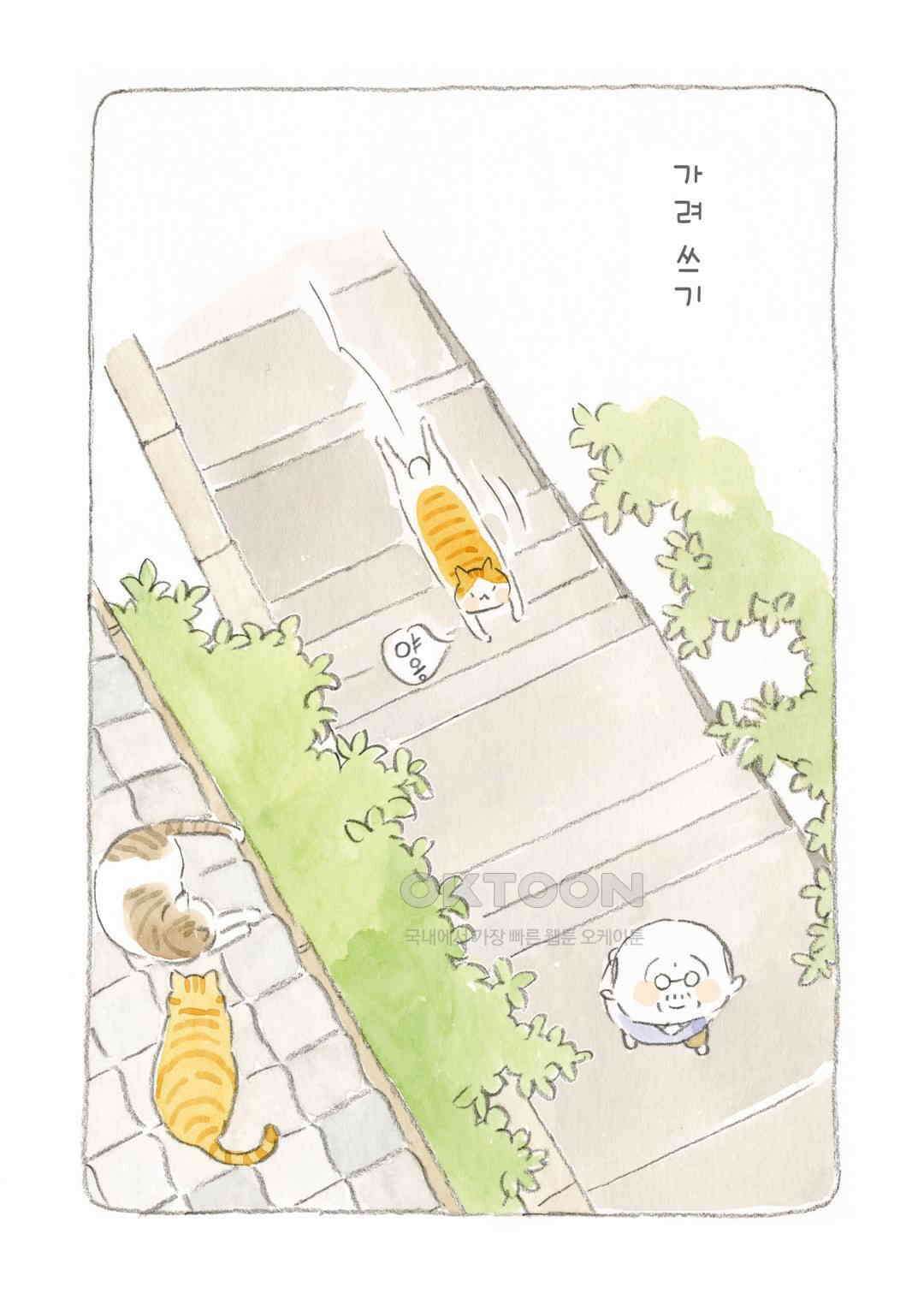 고양이와 할아버지(컬러판) 35화 2