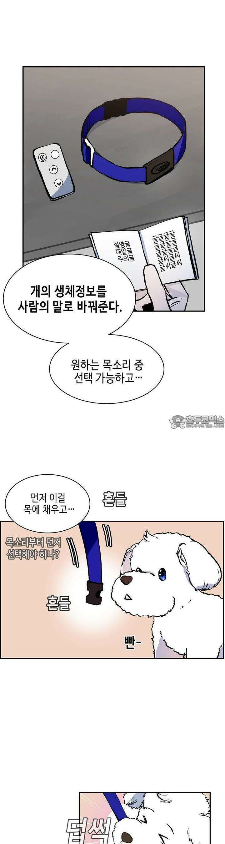 개의 눈으로 보라 1화 8