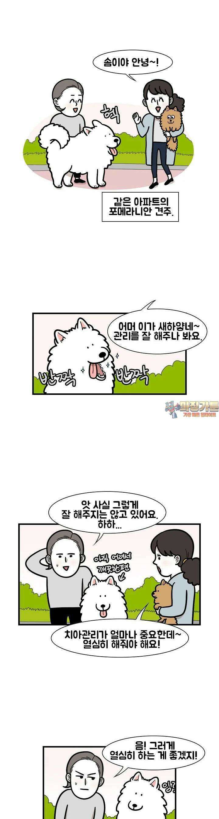 극한견주 50화 치아 관리 1