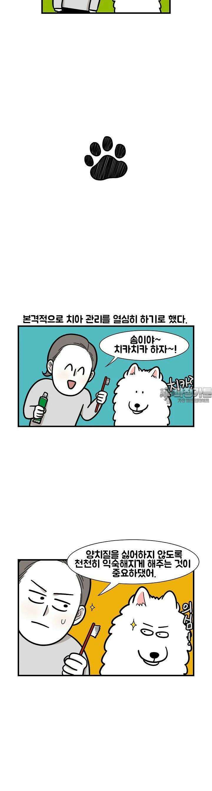 극한견주 50화 치아 관리 2