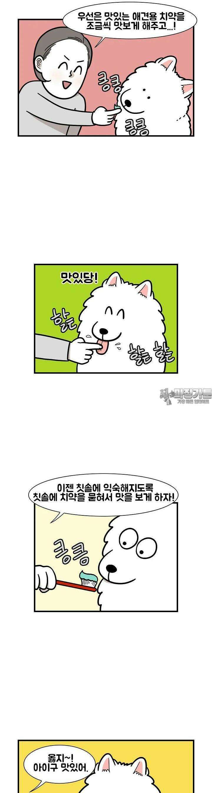 극한견주 50화 치아 관리 3
