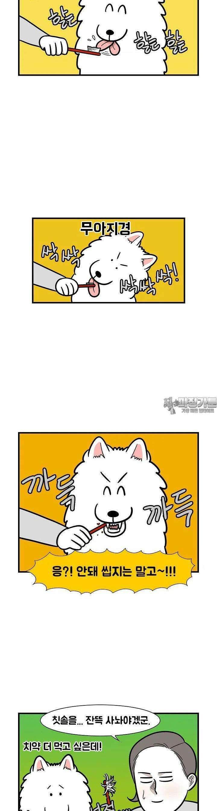 극한견주 50화 치아 관리 4