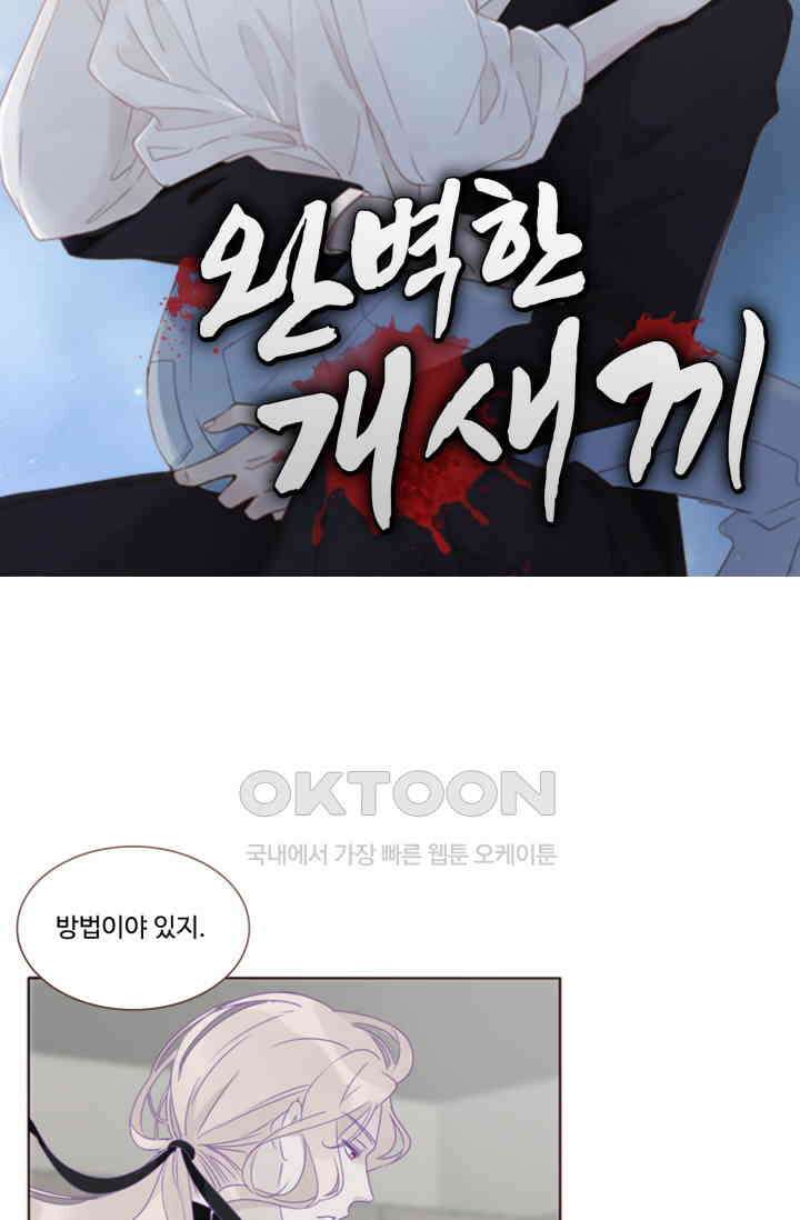 완벽한 개새끼 54화 4