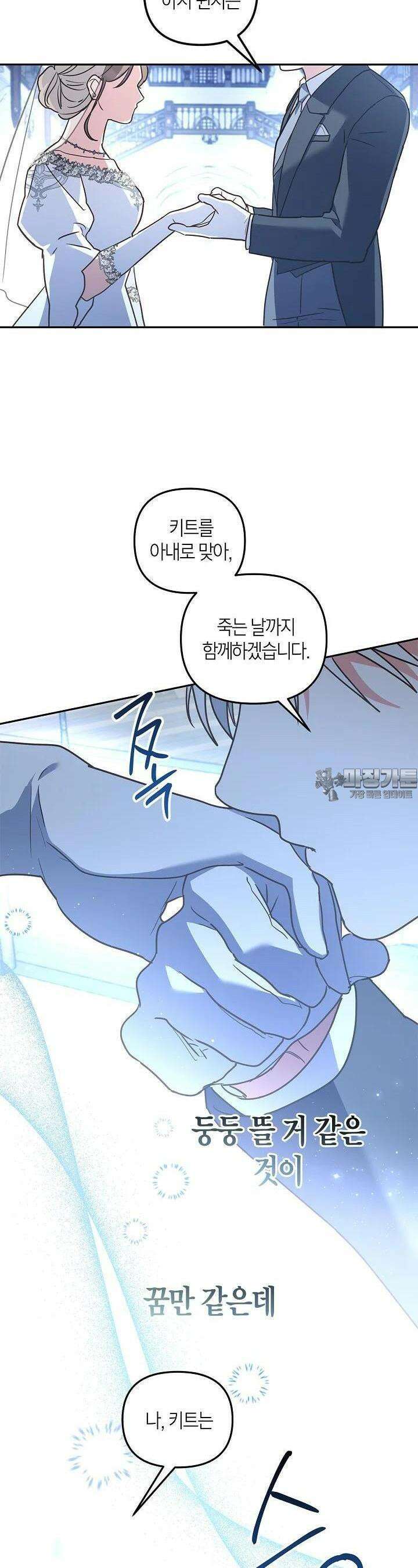 번데기 속 고양이 외전 6화 16