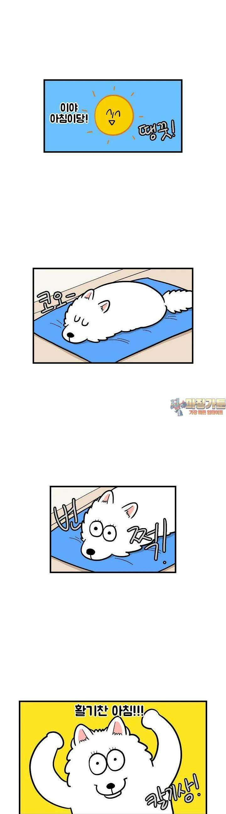 극한견주 59화 솜이의 하루 1 1