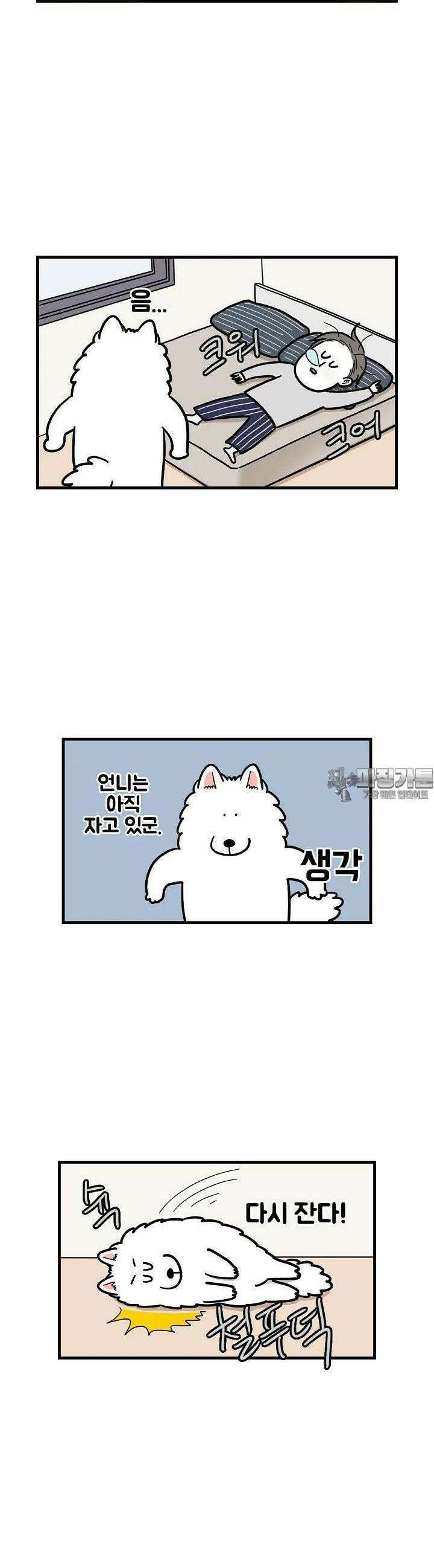 극한견주 59화 솜이의 하루 1 2