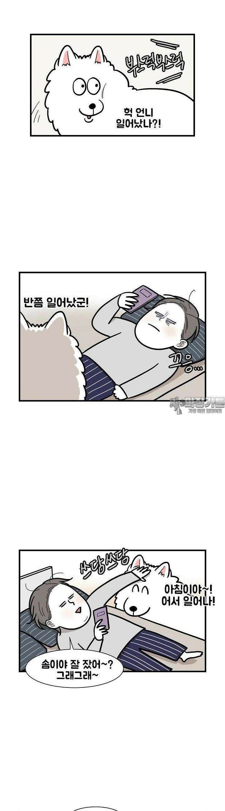 극한견주 59화 솜이의 하루 1 3