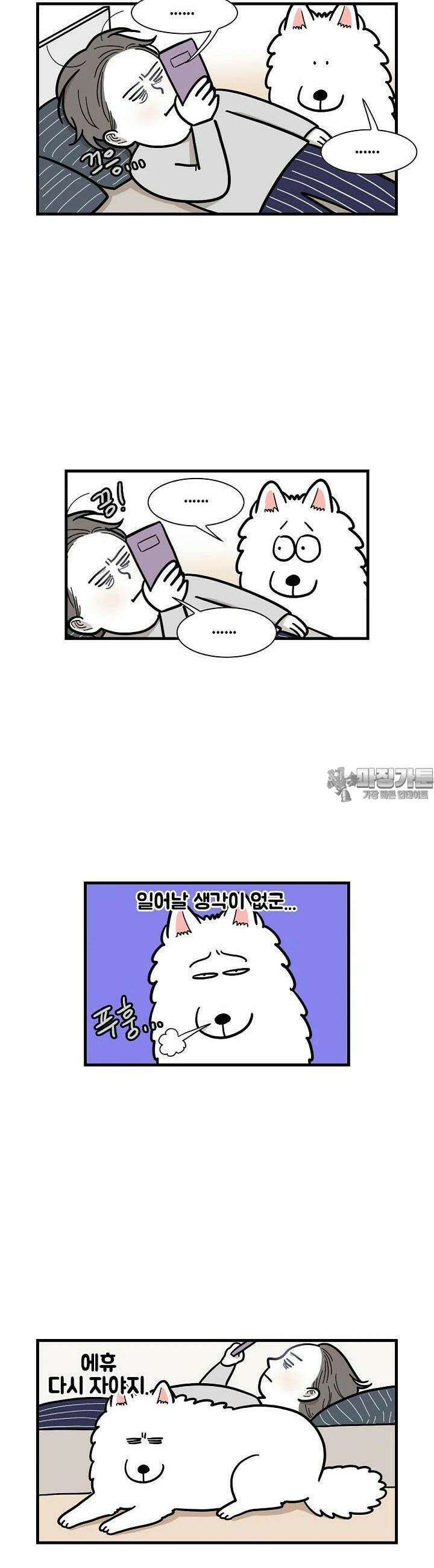 극한견주 59화 솜이의 하루 1 4