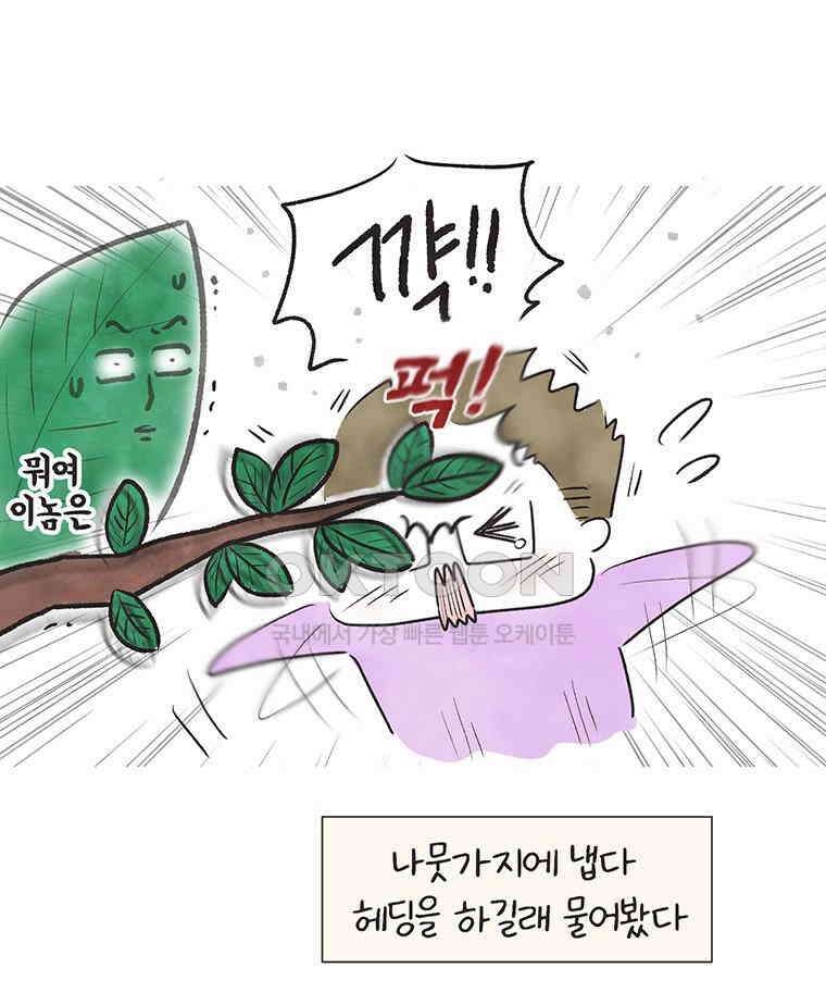 딩스뚱스 258화 큰 키의 쓸모 16