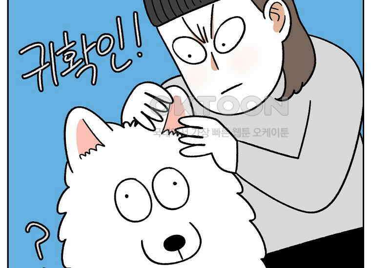 극한견주 시즌2 30화 귓병과 씨름하기 5