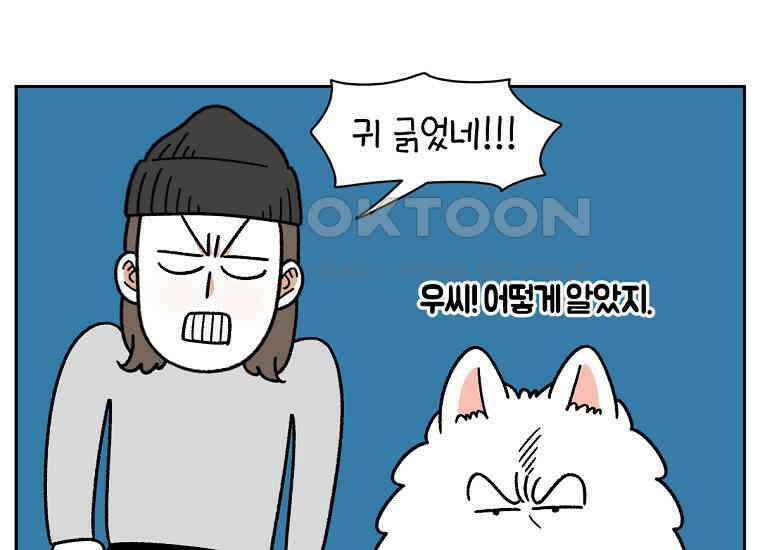 극한견주 시즌2 30화 귓병과 씨름하기 8