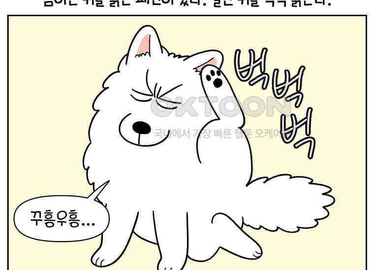 극한견주 시즌2 30화 귓병과 씨름하기 10