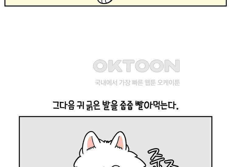 극한견주 시즌2 30화 귓병과 씨름하기 11