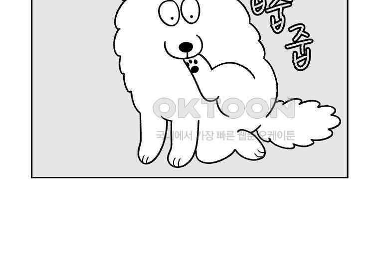 극한견주 시즌2 30화 귓병과 씨름하기 12