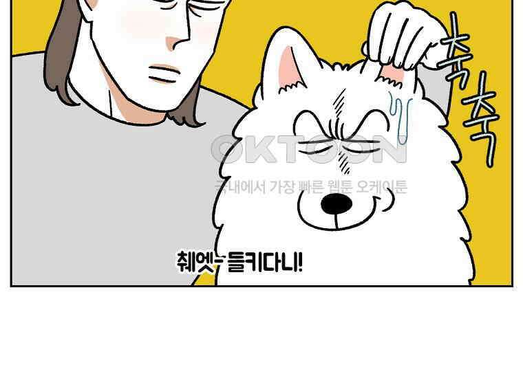 극한견주 시즌2 30화 귓병과 씨름하기 15