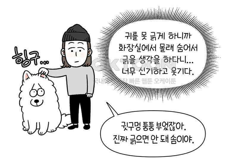극한견주 시즌2 30화 귓병과 씨름하기 16