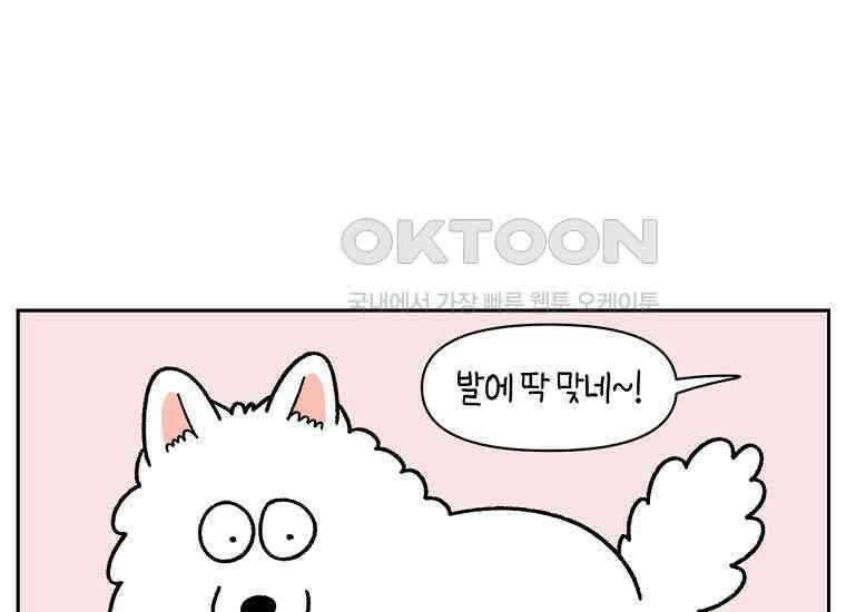 극한견주 시즌2 30화 귓병과 씨름하기 20