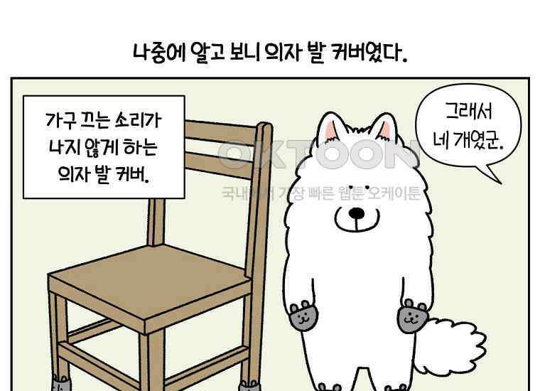극한견주 시즌2 30화 귓병과 씨름하기 25