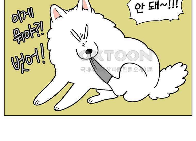 극한견주 시즌2 30화 귓병과 씨름하기 27