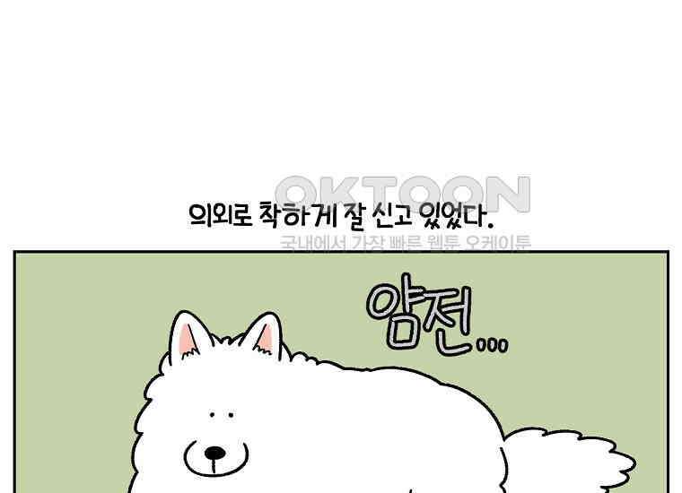 극한견주 시즌2 30화 귓병과 씨름하기 28