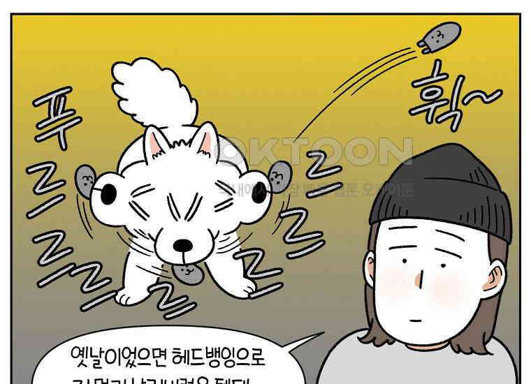 극한견주 시즌2 30화 귓병과 씨름하기 30