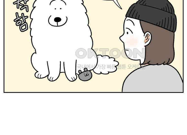극한견주 시즌2 30화 귓병과 씨름하기 32