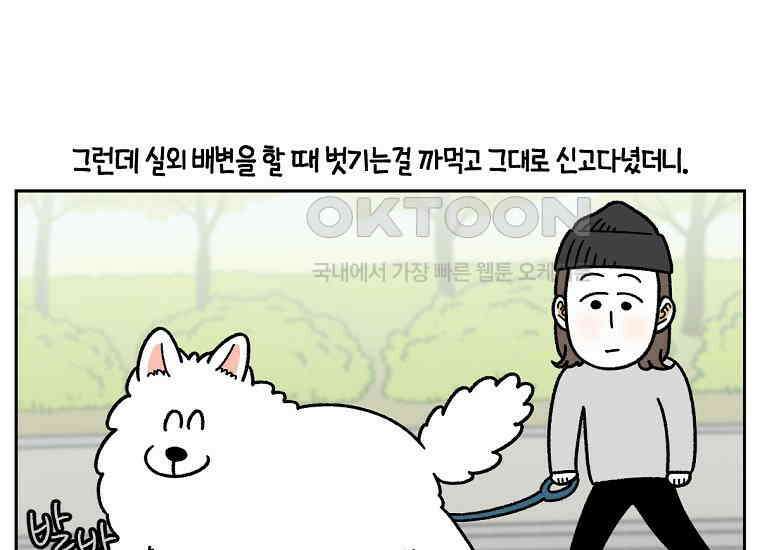 극한견주 시즌2 30화 귓병과 씨름하기 33