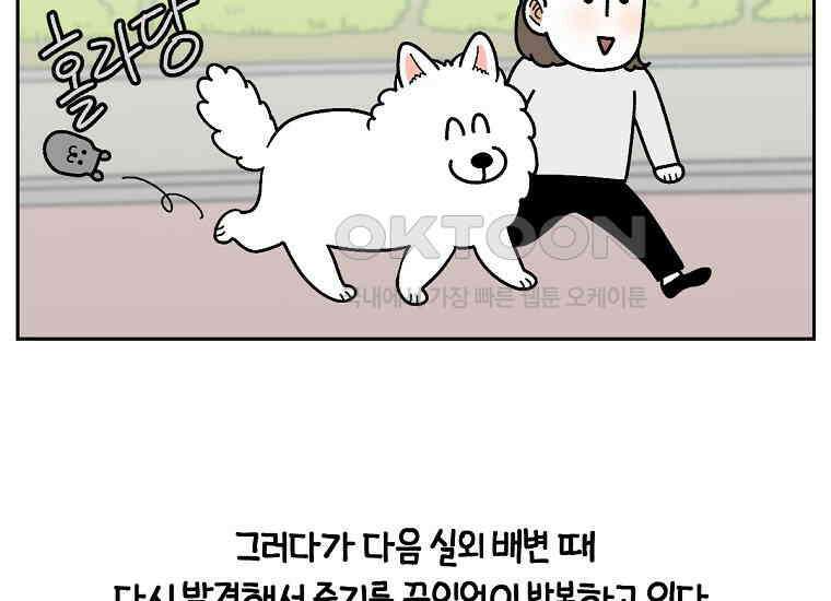 극한견주 시즌2 30화 귓병과 씨름하기 35