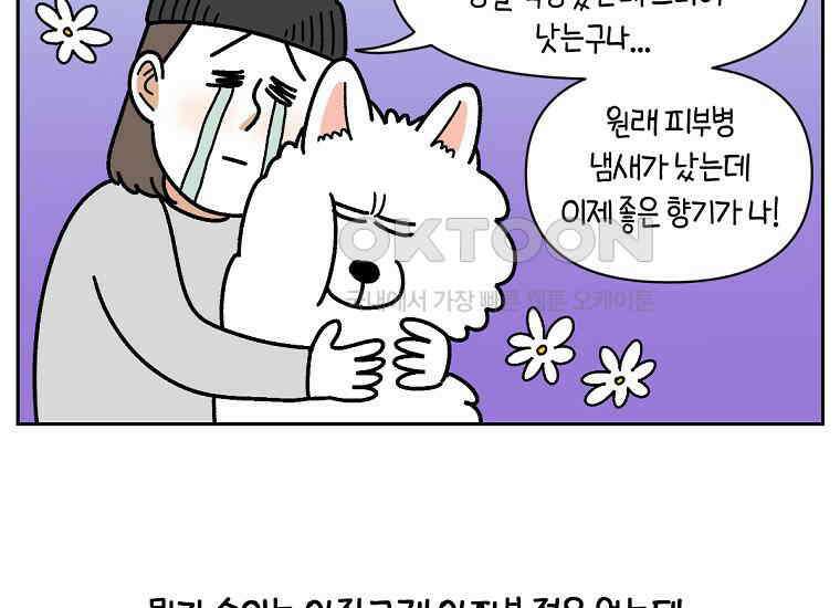 극한견주 시즌2 30화 귓병과 씨름하기 45