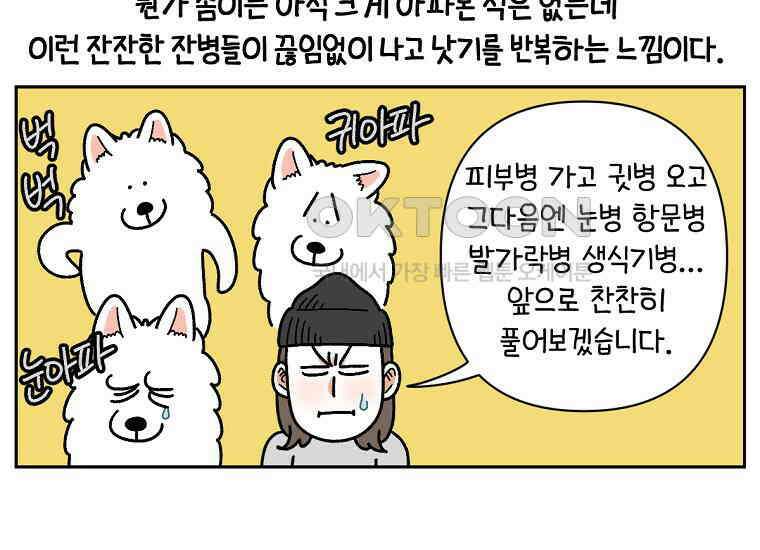 극한견주 시즌2 30화 귓병과 씨름하기 46