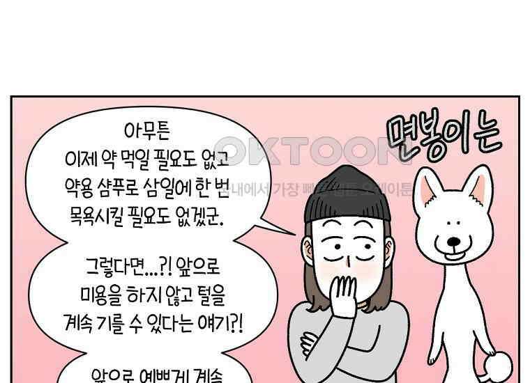 극한견주 시즌2 30화 귓병과 씨름하기 47