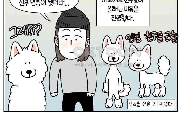극한견주 시즌2 30화 귓병과 씨름하기 49