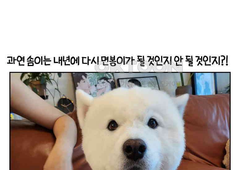 극한견주 시즌2 30화 귓병과 씨름하기 50