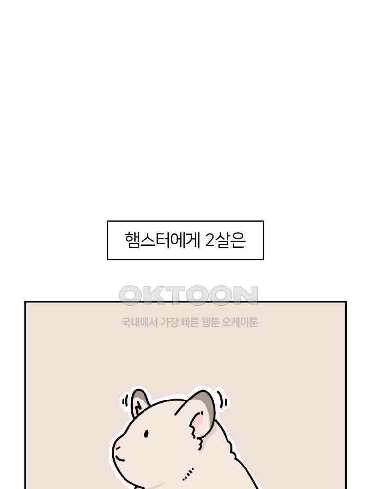 어쩌다 햄스터 43． 2살이 되었다 3