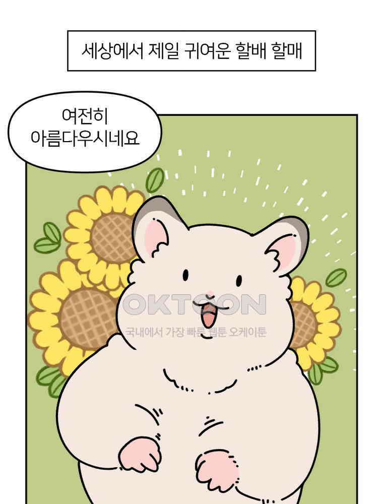 어쩌다 햄스터 43． 2살이 되었다 5