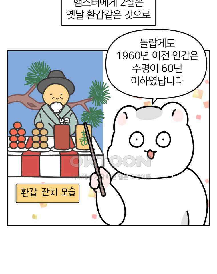 어쩌다 햄스터 43． 2살이 되었다 10