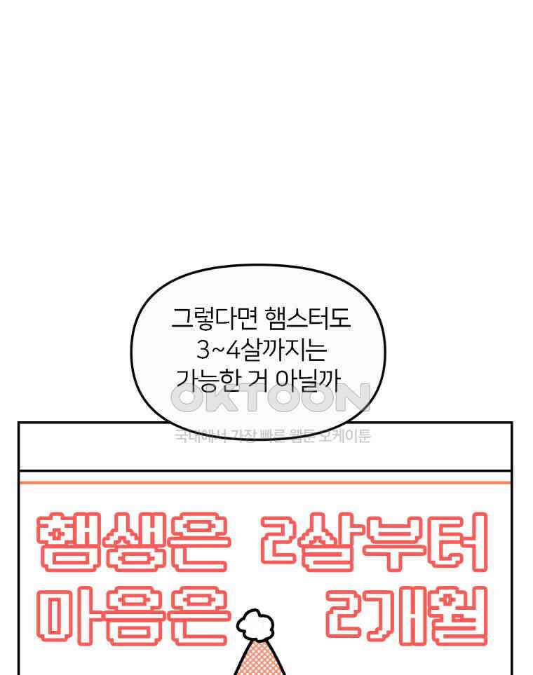 어쩌다 햄스터 43． 2살이 되었다 11