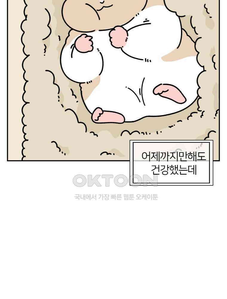 어쩌다 햄스터 43． 2살이 되었다 14