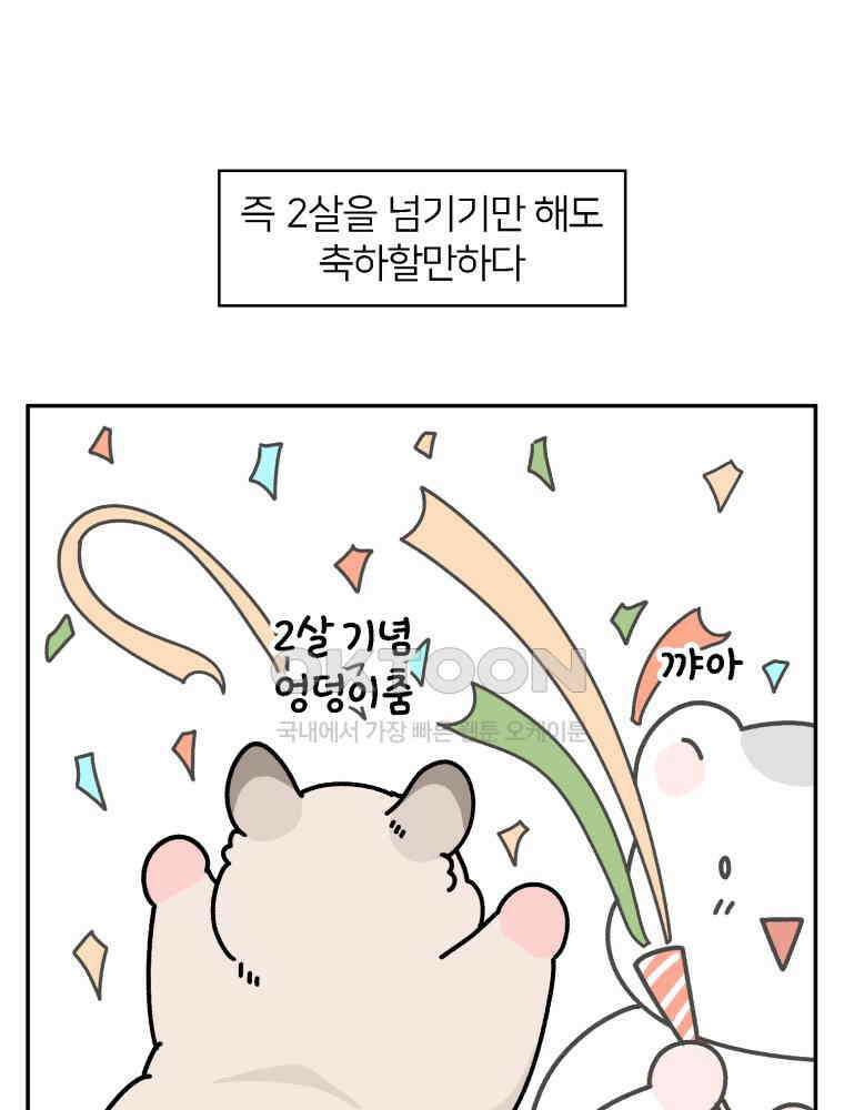 어쩌다 햄스터 43． 2살이 되었다 15