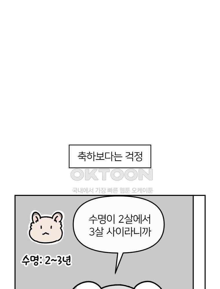 어쩌다 햄스터 43． 2살이 되었다 18