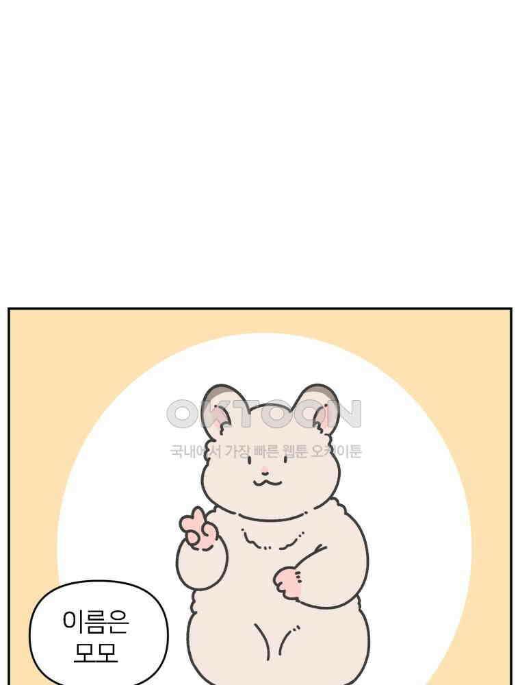 어쩌다 햄스터 외전 2． 모모를 찾아서 2