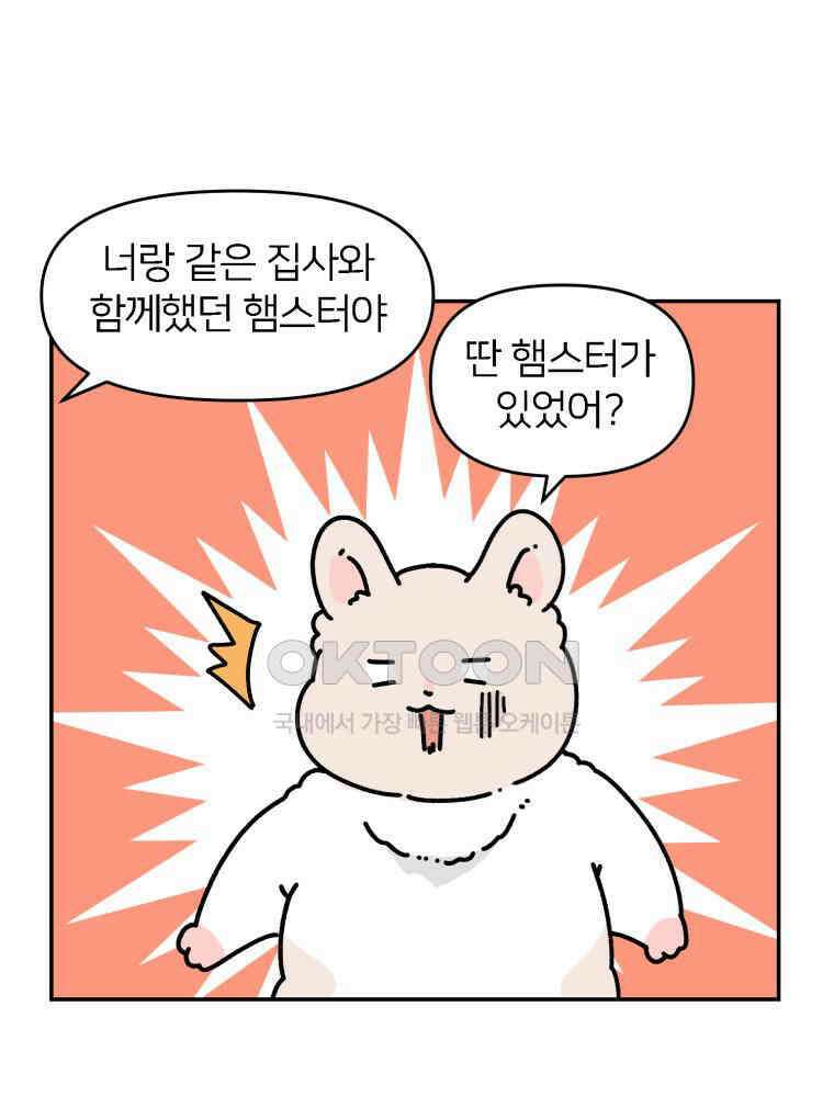 어쩌다 햄스터 외전 2． 모모를 찾아서 4