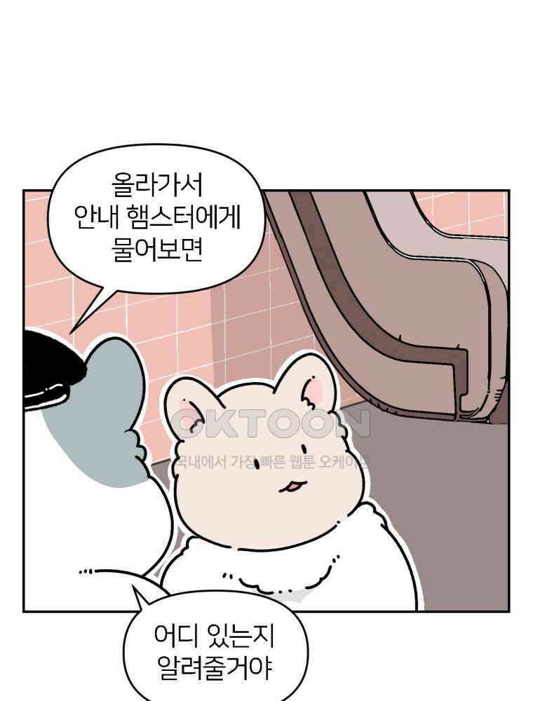 어쩌다 햄스터 외전 2． 모모를 찾아서 7