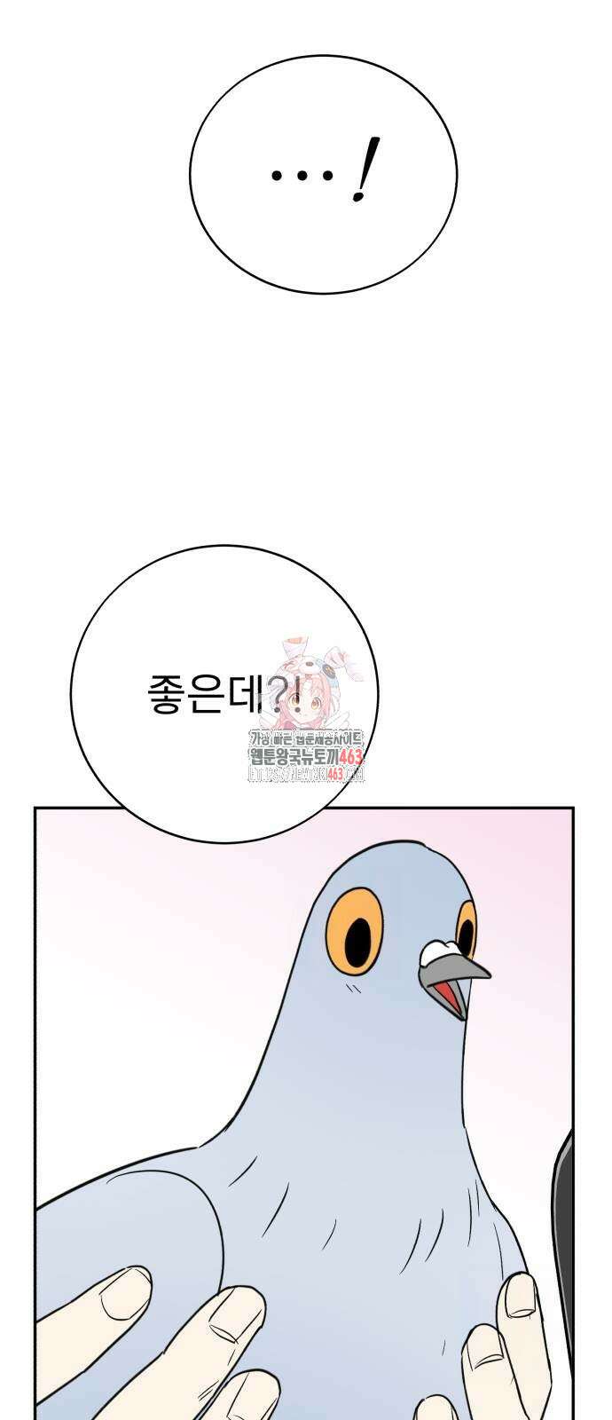 성북구 비둘기 이헌서 24화 1