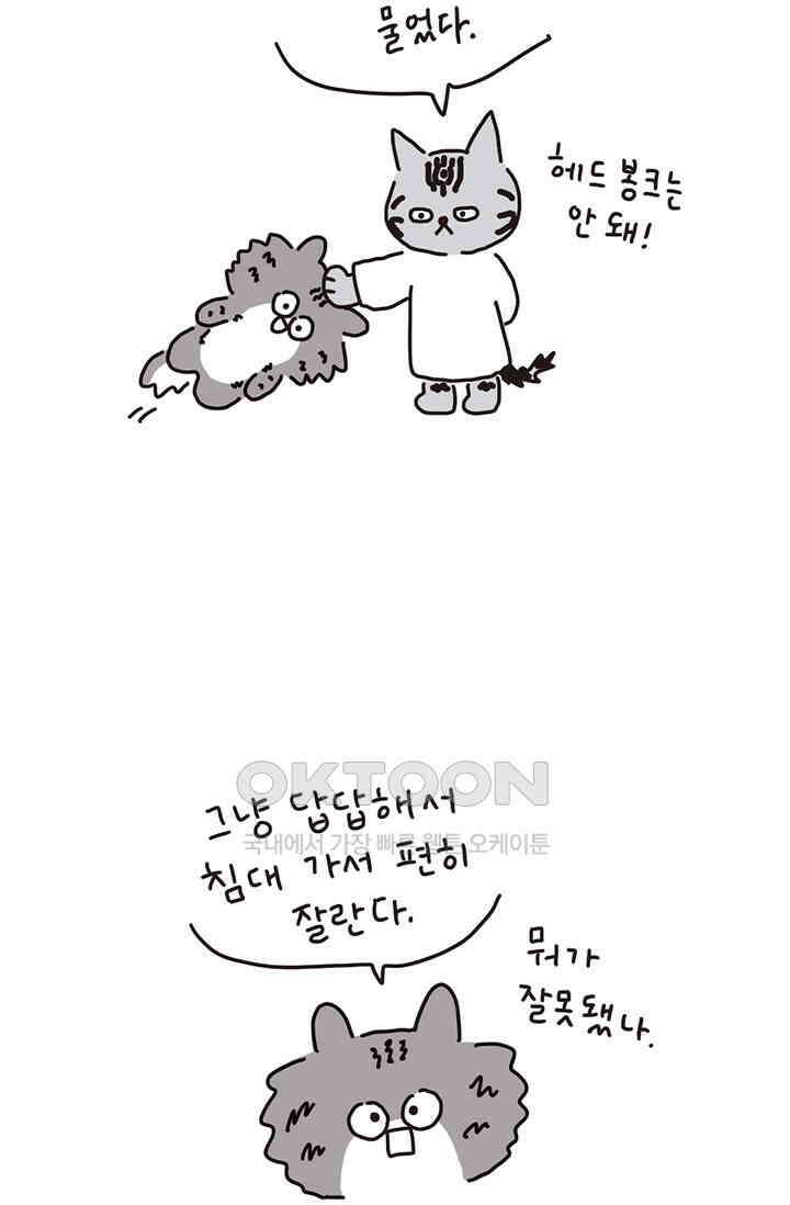 은동스+옹동스 은동은동 은동구리 149화． 나옹의 코치 6
