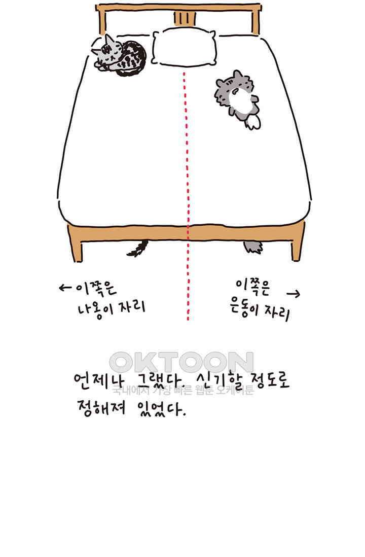 은동스+옹동스 은동은동 은동구리 154화． 은동이와 우리집 7