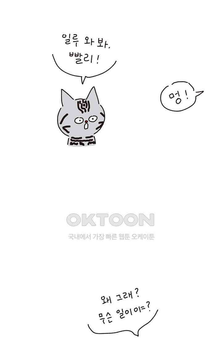 은동스+옹동스 은동스 221화． 나옹이와 체중계 3