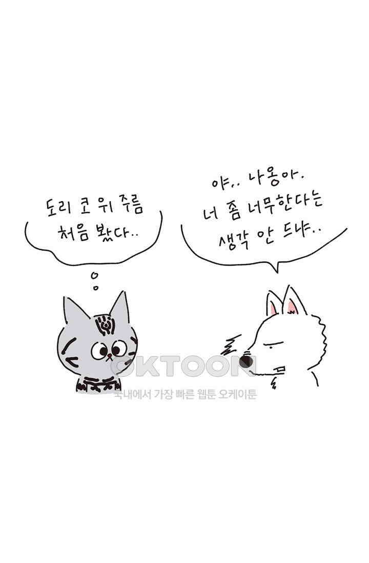 은동스+옹동스 은동스 221화． 나옹이와 체중계 9