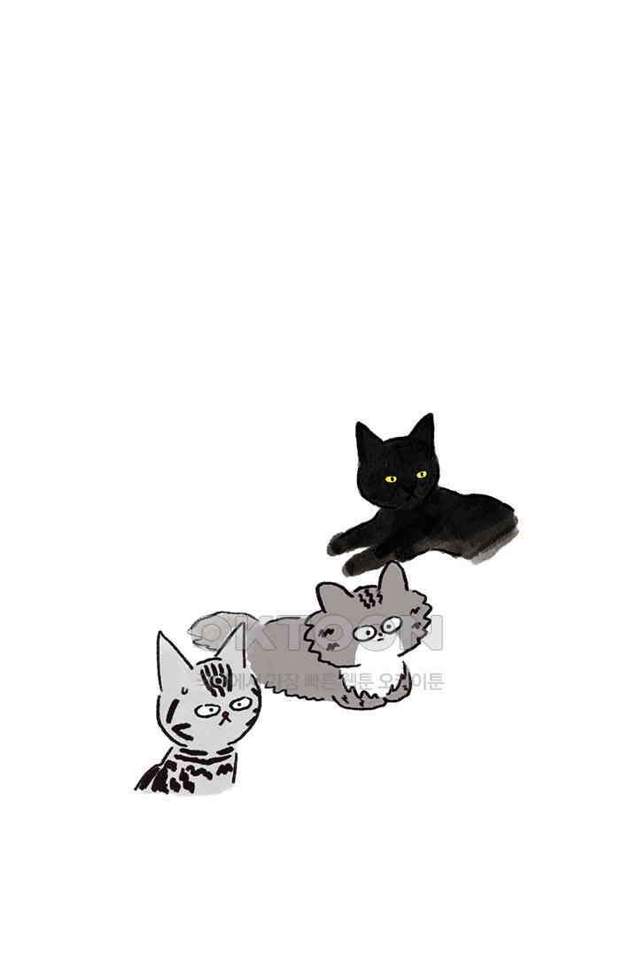 은동스+옹동스 은동스 240화． 도도한 고양이 3